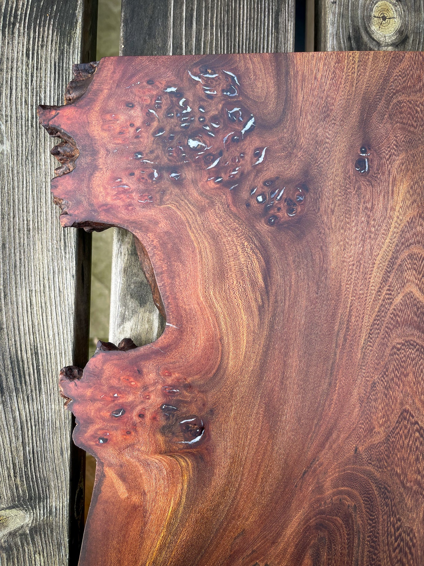 Large Wych Elm Burl and Pearl White Epoxy Resin Charcuterie Board