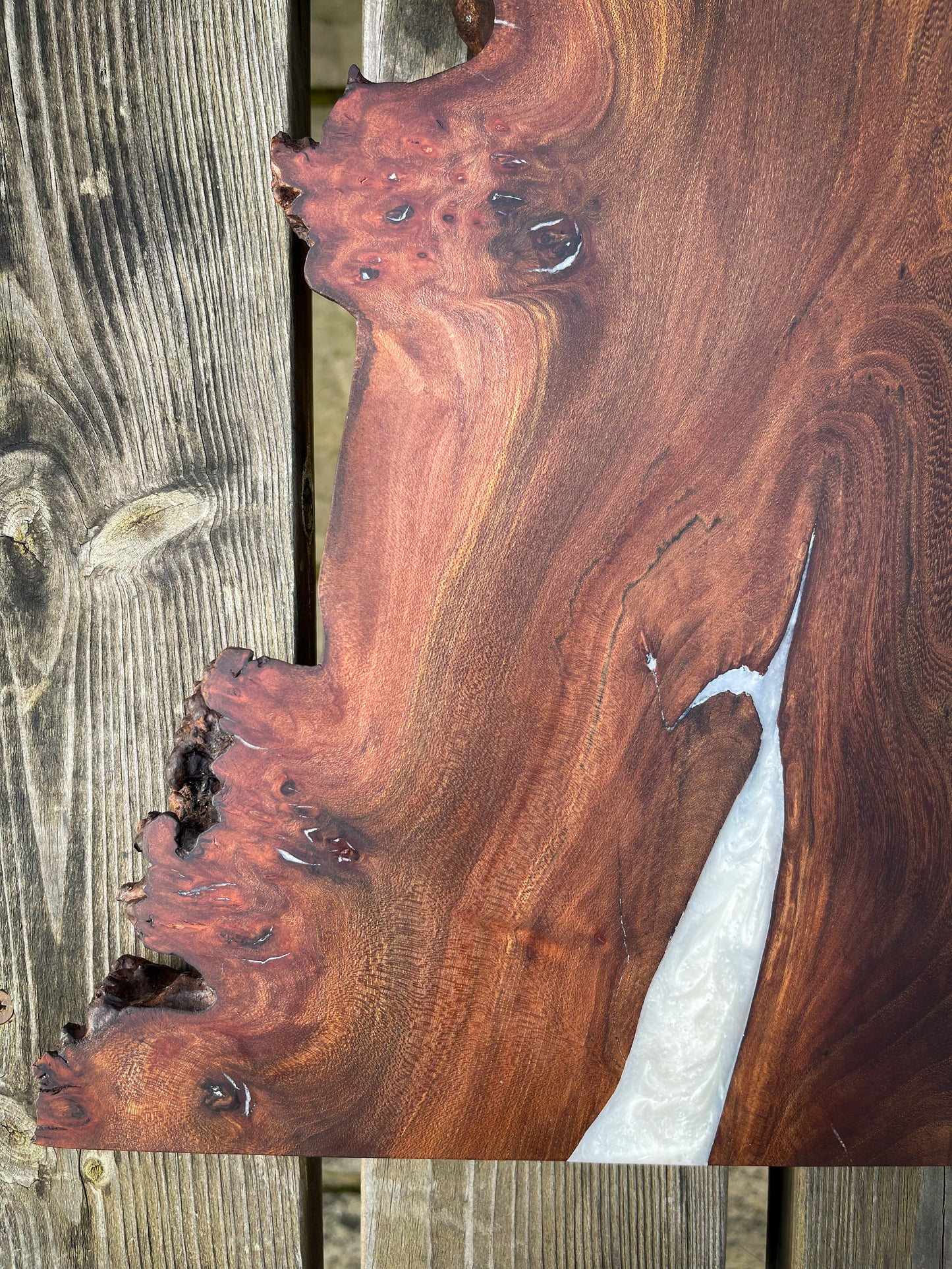 Large Wych Elm Burl and Pearl White Epoxy Resin Charcuterie Board